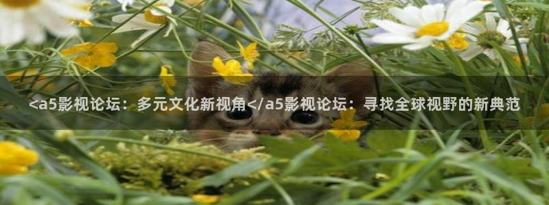 午夜影视片在线观看：<a5影视论坛：多元文化新视角</a5影视论坛：寻找全球视野的新典范