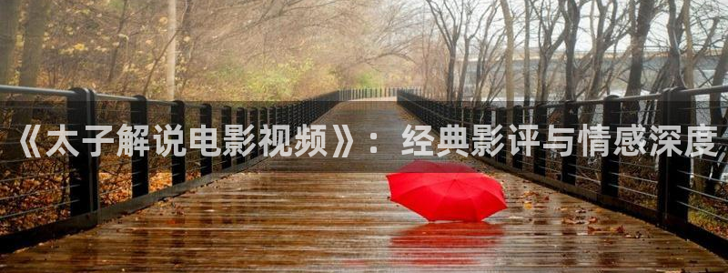 午夜高清免费在线：《太子解说电影视频》：经典影评与情感深度