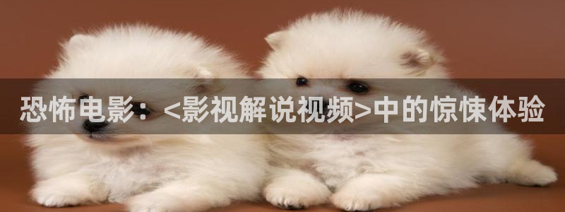 男女午夜在线观看：恐怖电影：<影视解说视频>中的惊悚体验