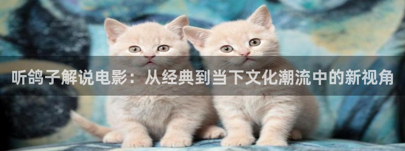 天天影院午夜在线