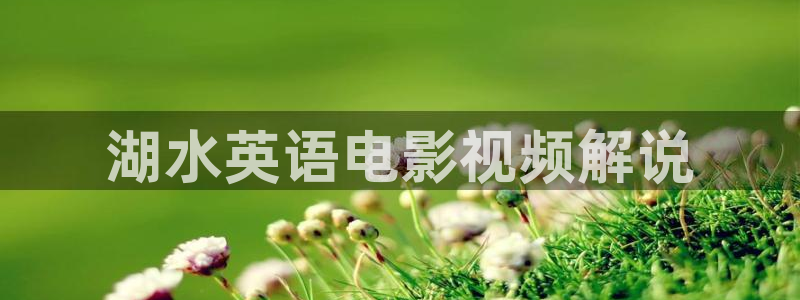 成人成人手机午夜电影视频网：湖水英语电影视频解说