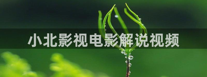 87电影网午夜：小北影视电影解说视频