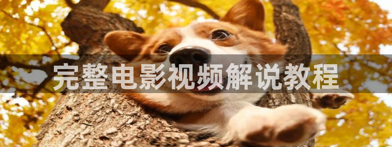 午夜伦理:伦理片：完整电影视频解说教程