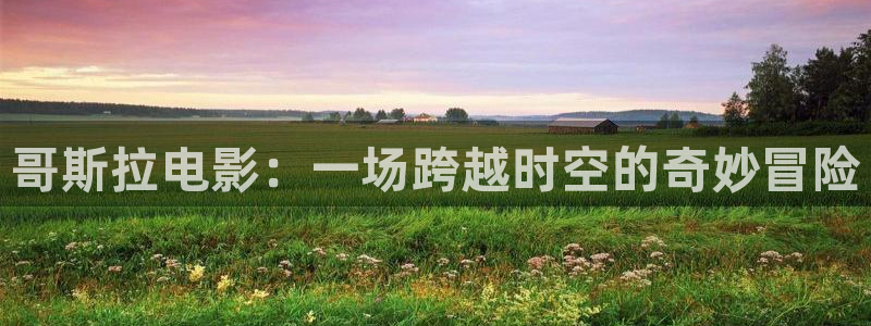 男人午夜看片网址