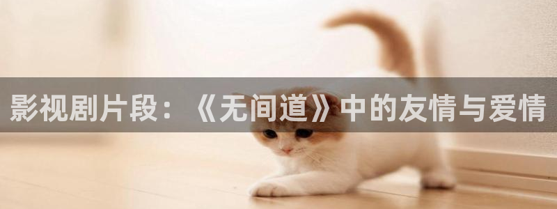 手机看午夜电影：影视剧片段：《无间道》中的友情与爱情