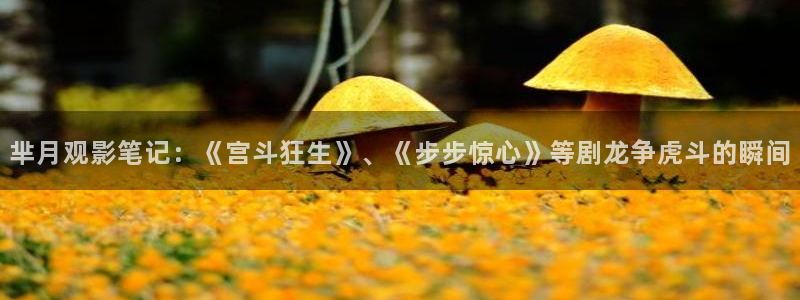 成年午夜影院在线观看：芈月观影笔记：《宫斗狂生》、《步步惊心》等剧龙争虎斗的瞬间