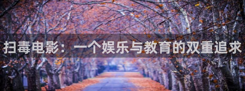 神马电影午夜影院：扫毒电影：一个娱乐与教育的双重追求