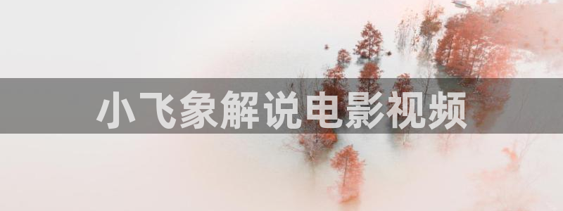 韩国午夜电影推荐：小飞象解说电影视频