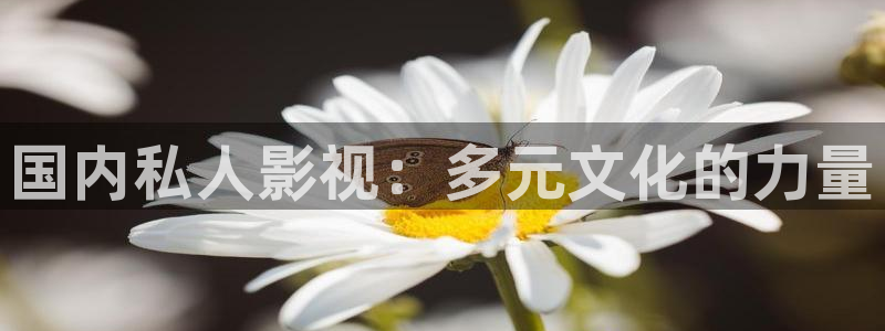 yy午夜伦理：国内私人影视：多元文化的力量