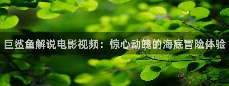 韩国午夜伦理大片：巨鲨鱼解说电影视频：惊心动魄的海底冒险体验
