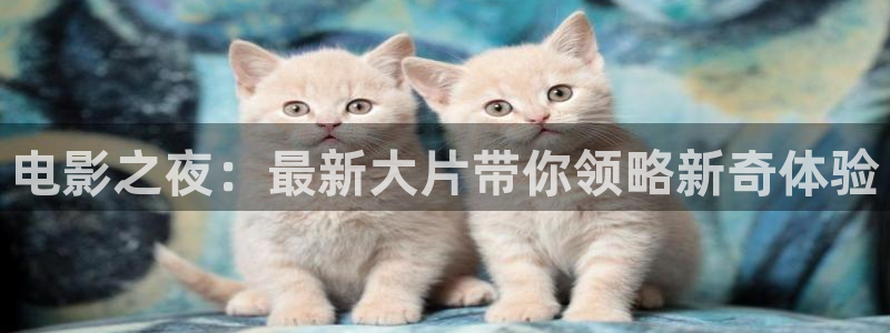 电影午夜诱惑：电影之夜：最新大片带你领略新奇体验