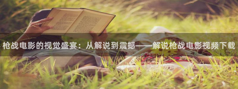 窝窝影院午夜看：枪战电影的视觉盛宴：从解说到震撼——解说枪战电影视频下载