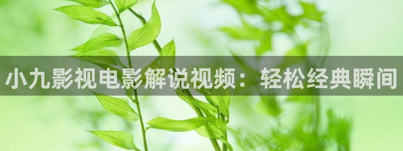 国产在线视频午夜：小九影视电影解说视频：轻松经典瞬间