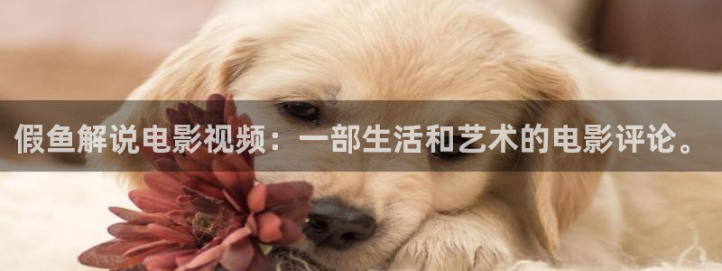 午夜dj影视大全完整版：假鱼解说电影视频：一部生活和艺术的电影评论。