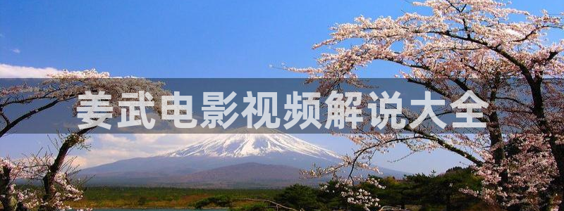 大胆午夜影院：姜武电影视频解说大全