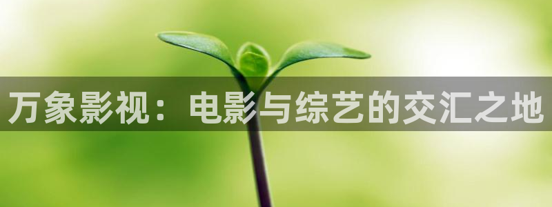 午夜se影院：万象影视：电影与综艺的交汇之地