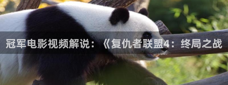 午夜影院91aaa：冠军电影视频解说：《复仇者联盟4：终局之战