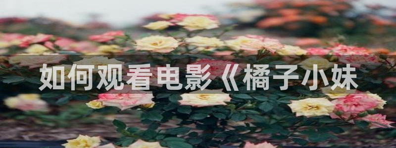 996午夜影院：如何观看电影《橘子小妹