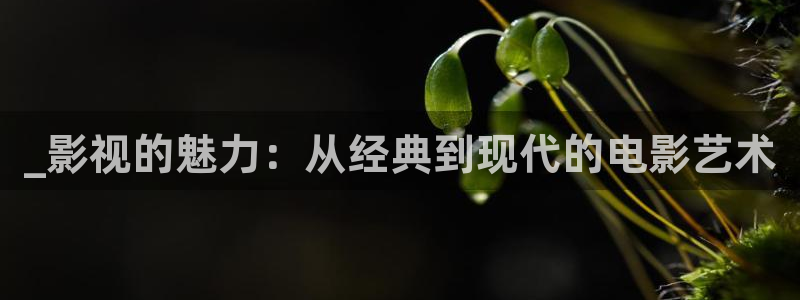 欧美成年人午夜影院：_影视的魅力：从经典到现代的电影艺术