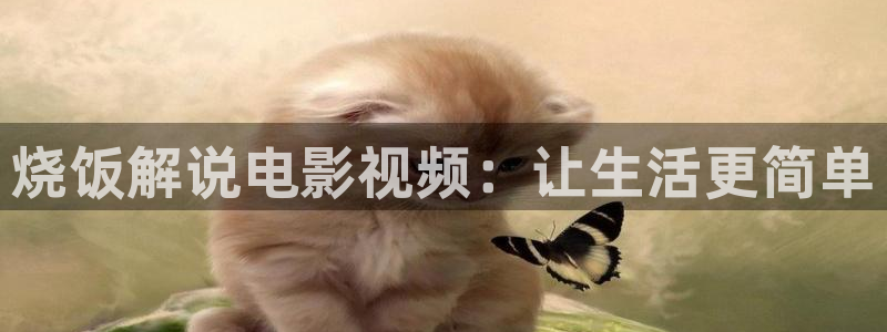 午夜看电影网址：烧饭解说电影视频：让生活更简单