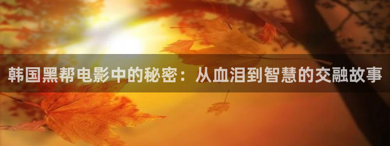 女女午夜电影：韩国黑帮电影中的秘密：从血泪到智慧的交融故事