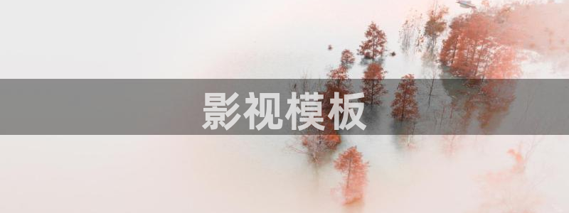 成人午夜影院免费：影视模板