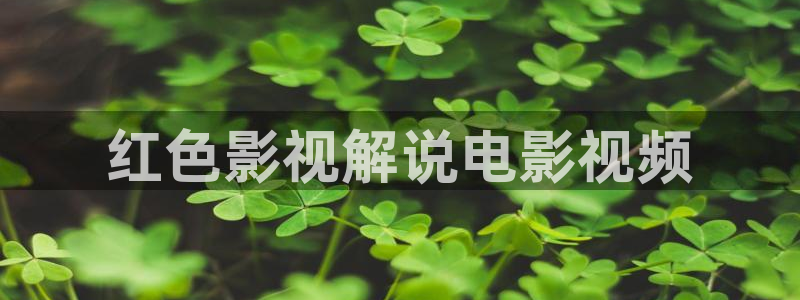 飘花影院午夜：红色影视解说电影视频