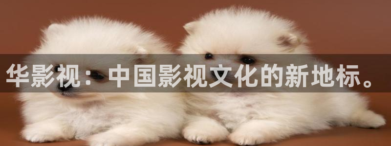 韩国午夜影院在线：华影视：中国影视文化的新地标。