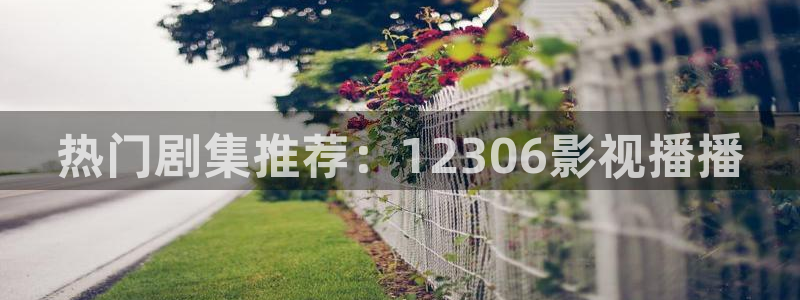 久久午夜：热门剧集推荐：12306影视播播